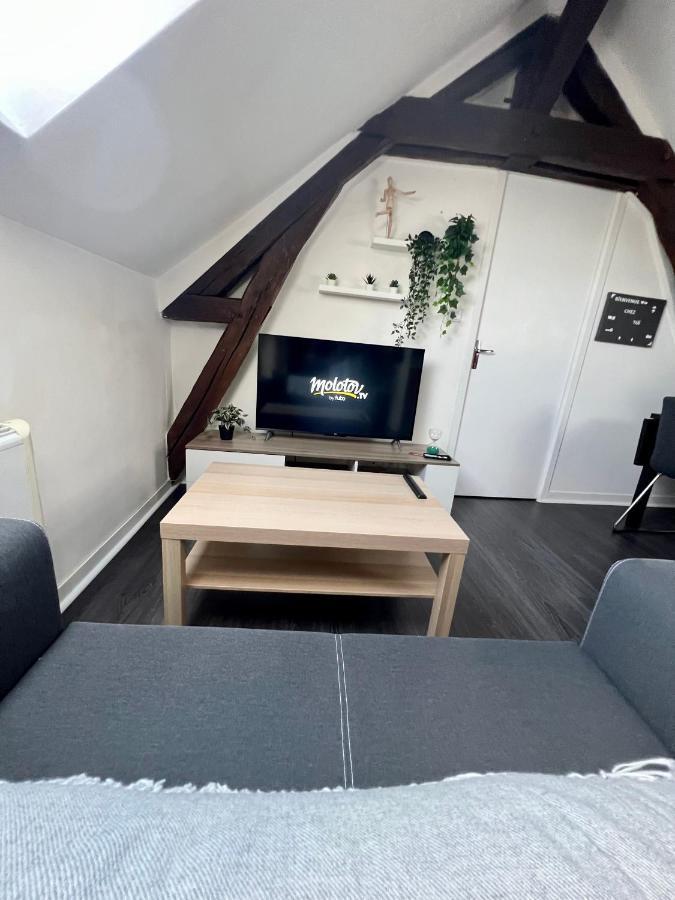 Bel Appartement Lumineux 35M2, Bord De Loire Saint-Jean-le-Blanc Dış mekan fotoğraf