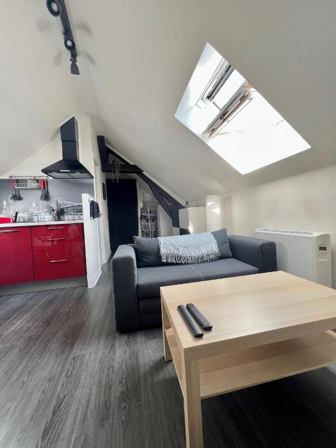 Bel Appartement Lumineux 35M2, Bord De Loire Saint-Jean-le-Blanc Dış mekan fotoğraf