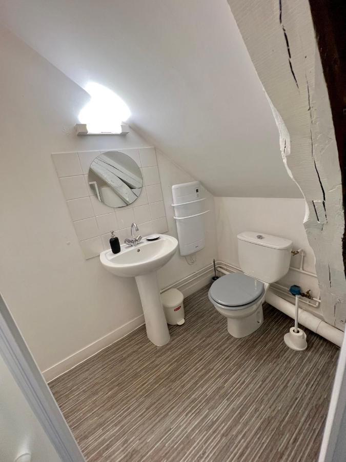 Bel Appartement Lumineux 35M2, Bord De Loire Saint-Jean-le-Blanc Dış mekan fotoğraf