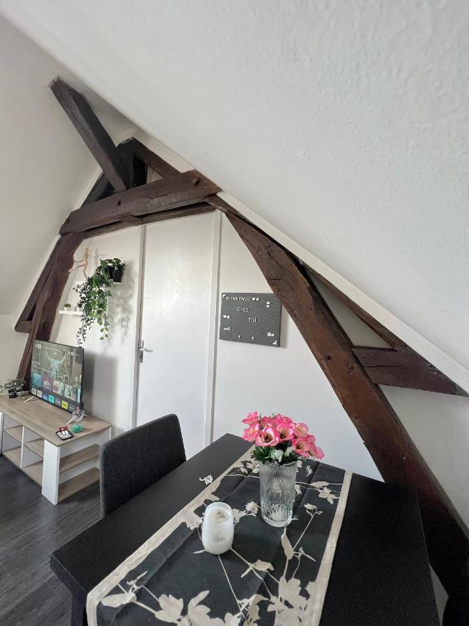 Bel Appartement Lumineux 35M2, Bord De Loire Saint-Jean-le-Blanc Dış mekan fotoğraf