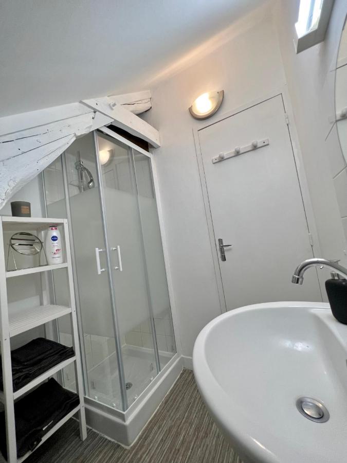 Bel Appartement Lumineux 35M2, Bord De Loire Saint-Jean-le-Blanc Dış mekan fotoğraf