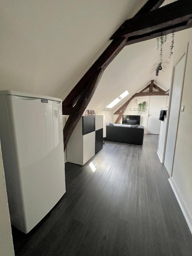 Bel Appartement Lumineux 35M2, Bord De Loire Saint-Jean-le-Blanc Dış mekan fotoğraf