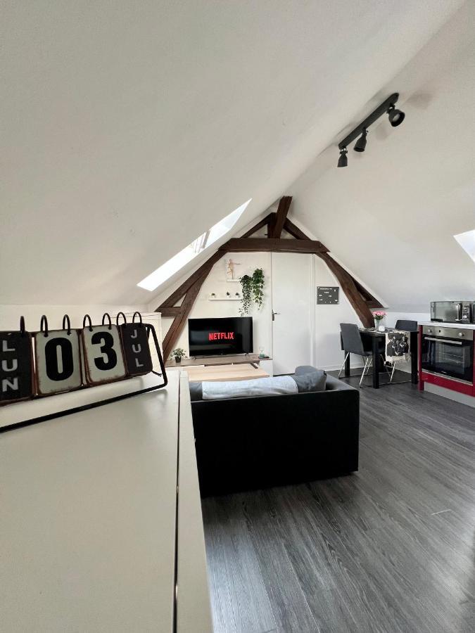 Bel Appartement Lumineux 35M2, Bord De Loire Saint-Jean-le-Blanc Dış mekan fotoğraf