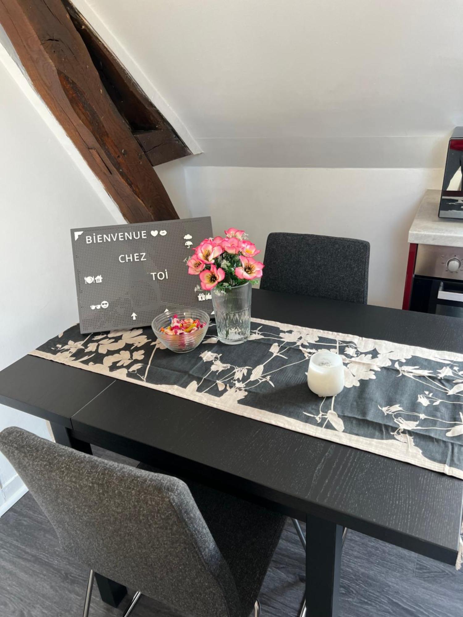 Bel Appartement Lumineux 35M2, Bord De Loire Saint-Jean-le-Blanc Dış mekan fotoğraf